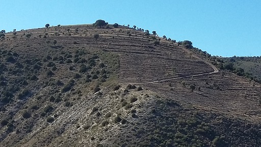 1AytoFuentes de Magaña1
