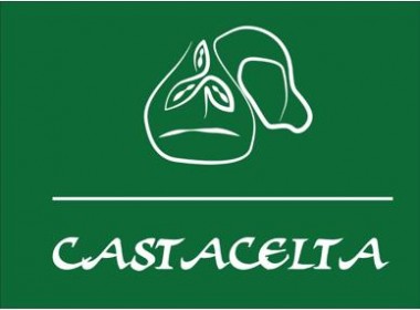 Proyecto CASTACELTA. Sinergias sostenibles del castaño y el porcino autóctono del tronco celta para su conservación