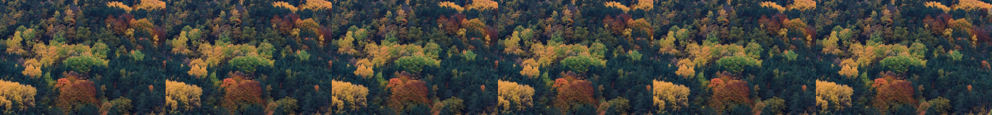 arboles