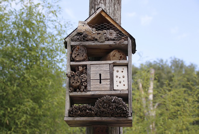 abeja casa