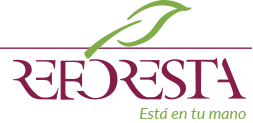 logo reforesta