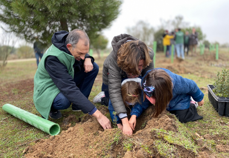 plantacion 6dnow contenido